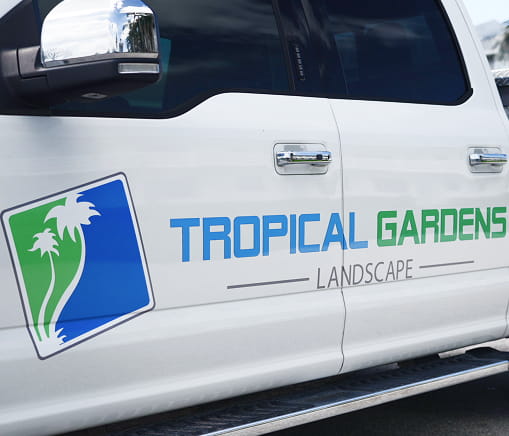Tropical Gardens Car